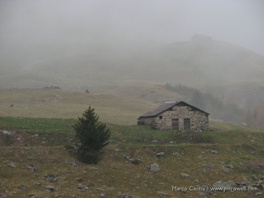 01_Paesaggio tipicamente autunnale.JPG